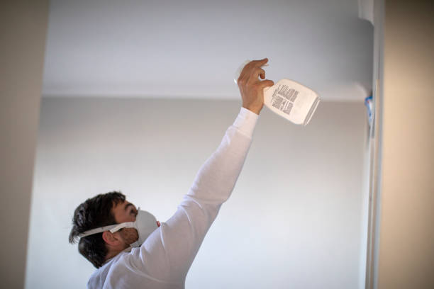 Mold Testing and Removal in Monticello, GA