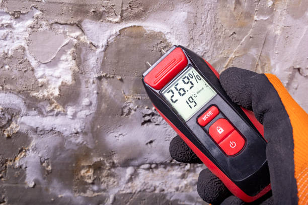 Best Mold Testing  in Monticello, GA