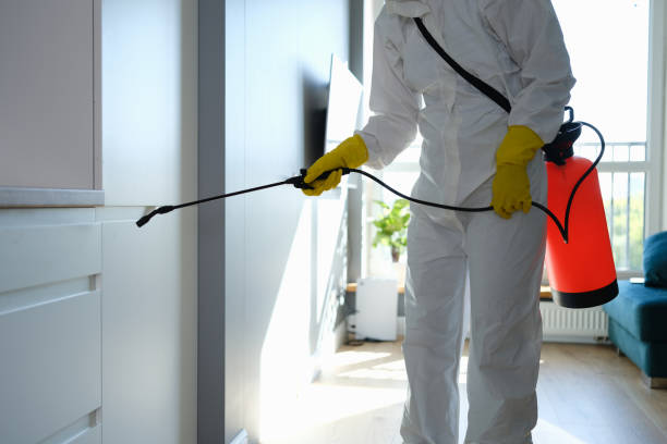 Water Damage Restoration in Monticello, GA
