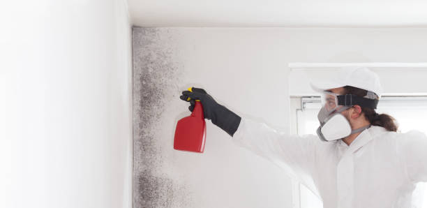 Best Emergency Mold Removal  in Monticello, GA