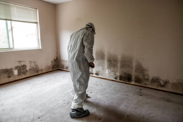 Best Commercial Mold Removal  in Monticello, GA